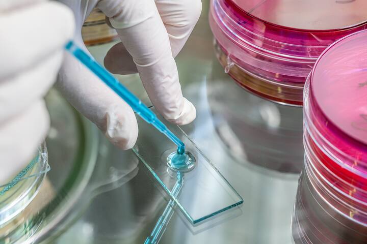 Pipette and the specimen examinating in laboratory