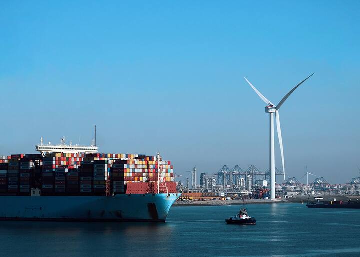 Ship in harbour
