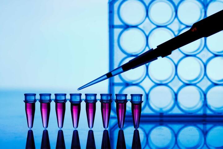 PCR strip test tubes and micropipette in genetics laboratory