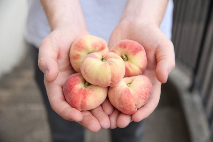 Hands with peach