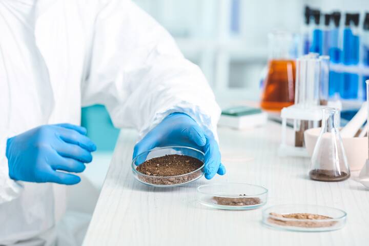 Scientist studying samples of soil in laboratory