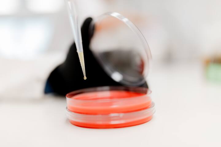 Monsteronderzoek swab lab