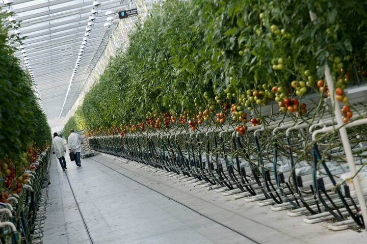 GroenAgroControl
Distributieweg 1
2645 EG . Delfgauw.
015-2572511
Barend Groen

iov Marianne Kester
Gemaakt op :01-03-2004