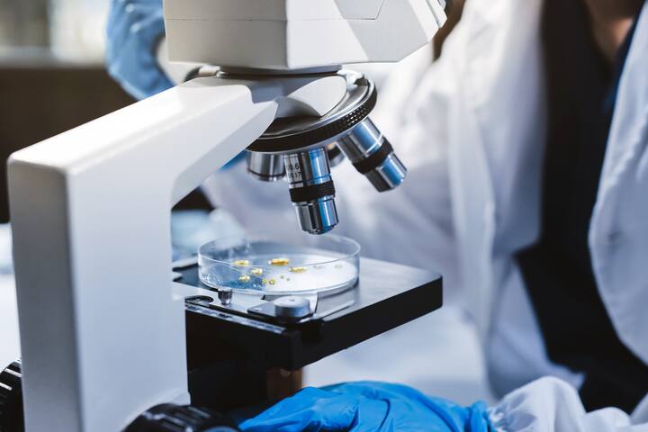 Lab microbiological tests