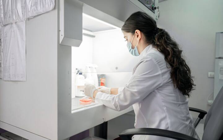 Lab microbiological tests
