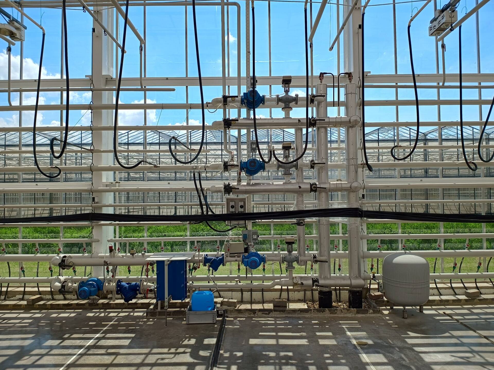 Reference Brabant Plant