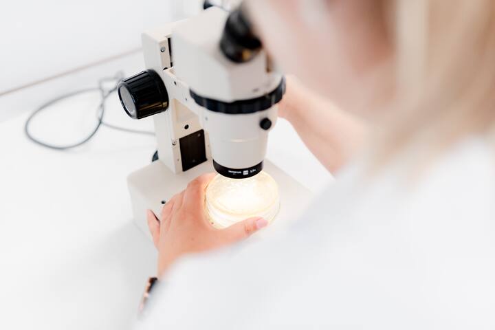 Microbiologisch onderzoek petrischaaltje