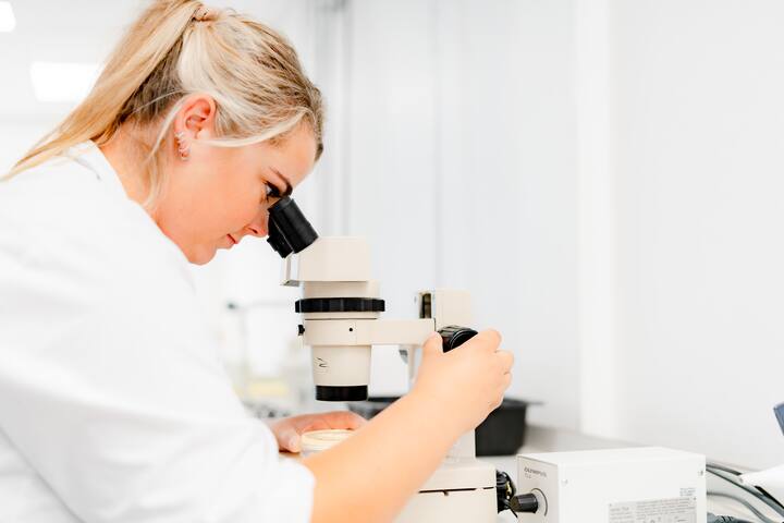 Microbiologisch onderzoek petrischaaltje
