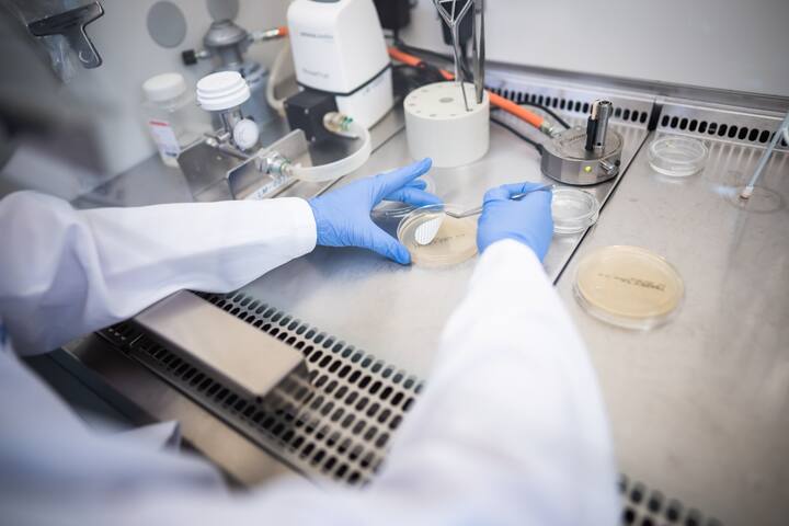 A man wearing protective gloves lifts a small sheet of paper from a petri dish in a laboratory setting.