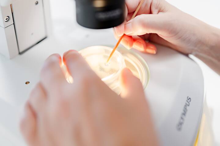 Microscoop lab